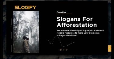 Slogan for Afforestation