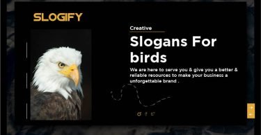 slogan for birds
