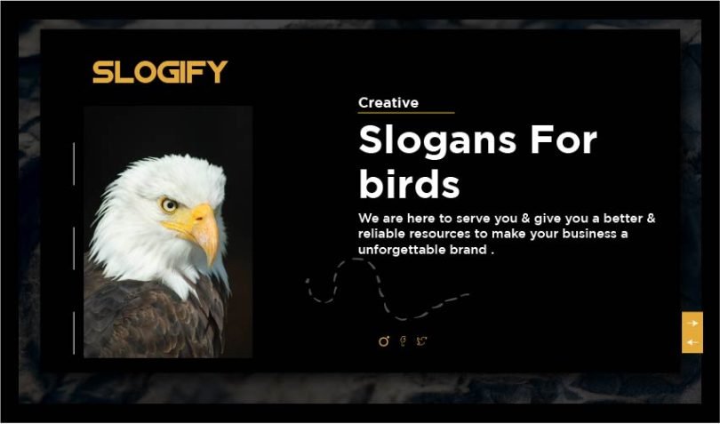 slogan for birds