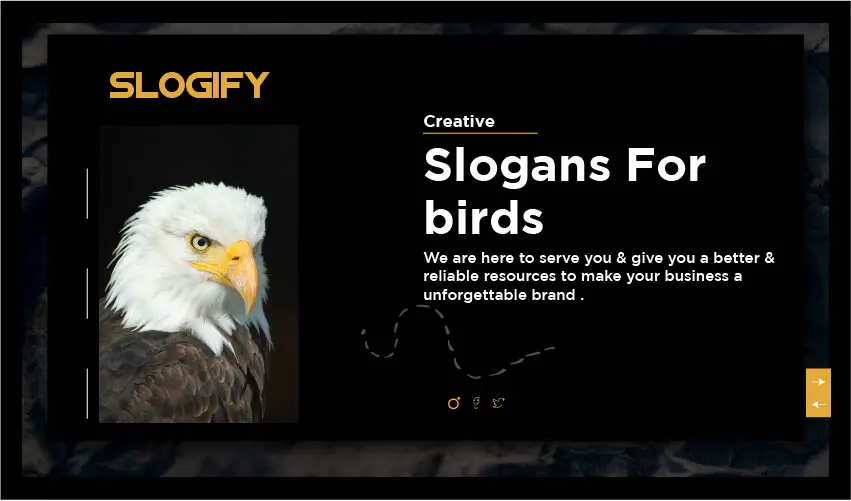 179+ Catchy Slogan for Birds for Bird Lovers - Slogify