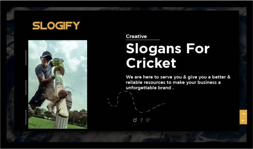 slogan for cricket