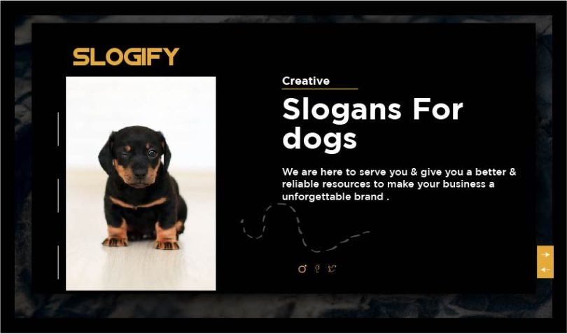 slogan for dogs