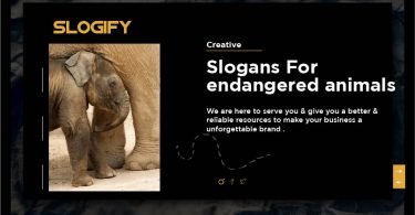 slogan for endangered animals