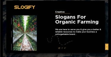 Slogan for Organic Farming