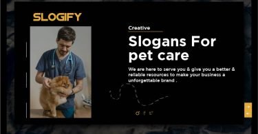 slogan for pet care