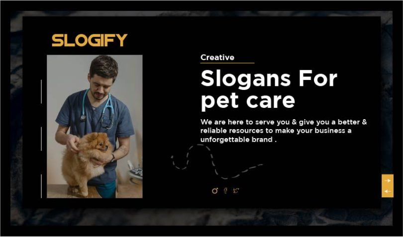 slogan for pet care